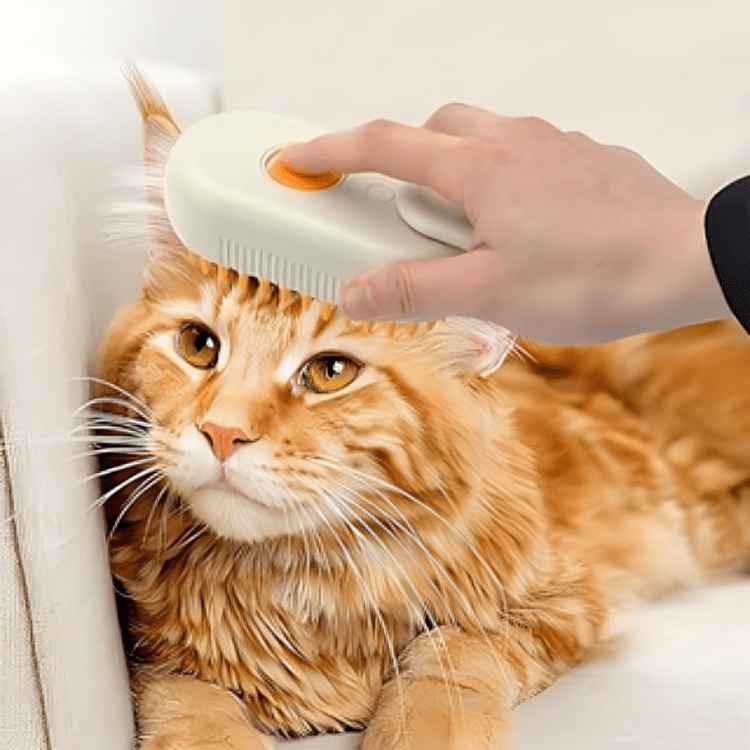 🐾 Less Loose Fur 💛 Gentler Grooming 😺 A Happier Cat