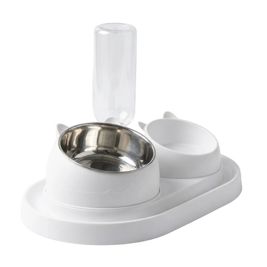 2-in-1 Automatic Waterer and Food Bowl Feeding Station
